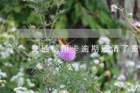 交通信用卡逾期还清了重新申请 交通信用卡逾期还清了重新申请