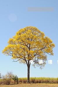 交通信用卡逾期销卡五年后 交通信用卡逾期销卡五年后