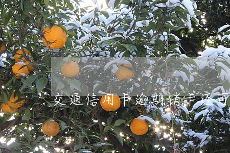 交通信用卡逾期销卡还可以恢复吗 交通信用卡逾期销卡还可以恢复吗
