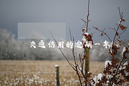 交通信用的逾期一年 交通信用的逾期一年