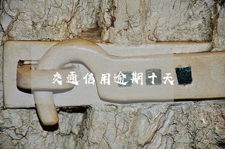 交通信用逾期十天 交通信用逾期十天