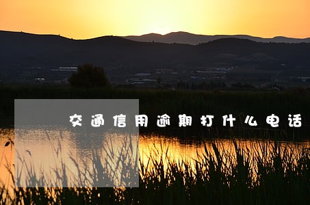 交通信用逾期打什么电话可以协商 交通信用逾期打什么电话可以协商