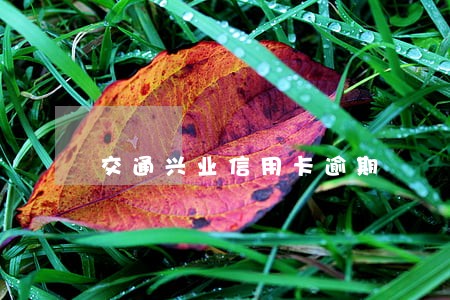 交通兴业信用卡逾期 交通兴业信用卡逾期