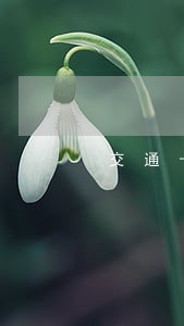 交通卡18元逾期 交通卡18元逾期