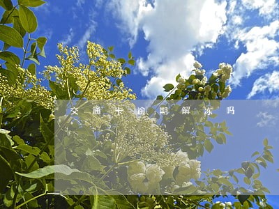 交通卡逾期解冻吗