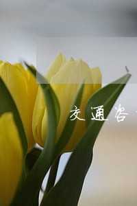 交通咨询律师咨询费 交通咨询律师咨询费