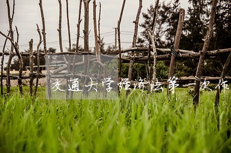 交通大学经济法第一次作业 交通大学经济法第一次作业