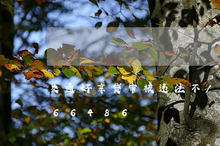 交通好享贷审核违法不/2023020366486 交通好享贷审核违法不/2023020366486