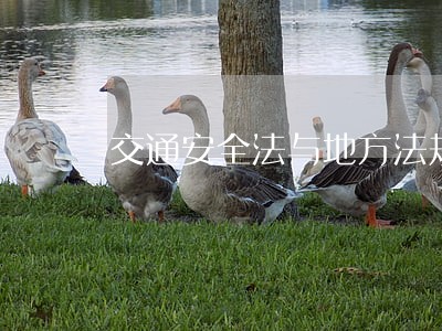 交通安全法与地方法规冲突时 交通安全法与地方法规冲突时