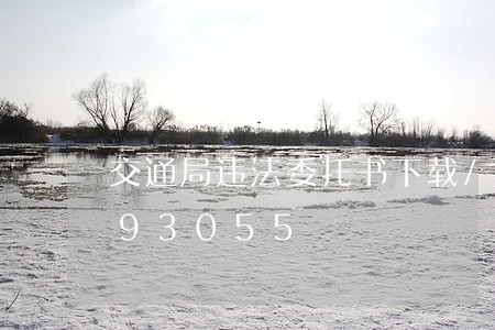 交通局违法委托书下载/2023020593055 交通局违法委托书下载/2023020593055