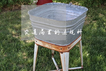 交通局里的法规科 交通局里的法规科