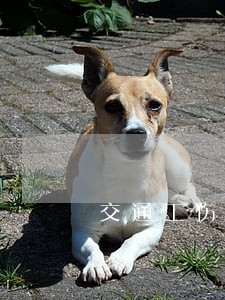 交通工伤赔偿诉讼律师找哪个 交通工伤赔偿诉讼律师找哪个