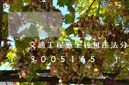 交通工程施工转包违法分包/2023013005165 交通工程施工转包违法分包/2023013005165