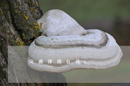 交通律师在线l
