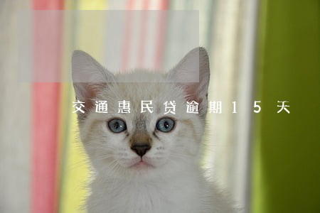 交通惠民贷逾期15天 交通惠民贷逾期15天