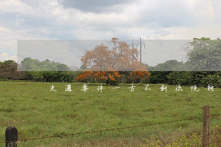 交通案件一方不到法院能否判决 交通案件一方不到法院能否判决