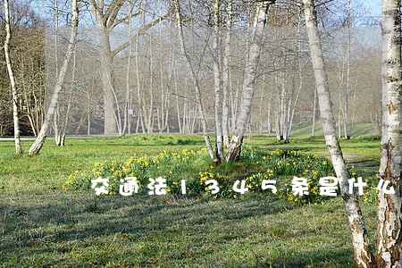 交通法1345条是什么违法行为 交通法1345条是什么违法行为
