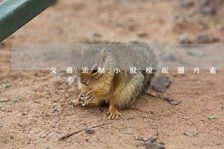 交通法制小报模板图片素材下载 交通法制小报模板图片素材下载