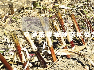 交通法律援助可以免费咨询吗 交通法律援助可以免费咨询吗
