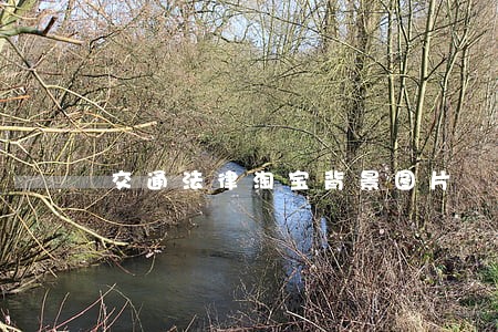 交通法律淘宝背景图片 交通法律淘宝背景图片