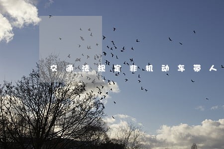 交通法规定非机动车带人
