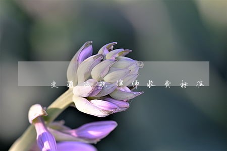 交通法规律师收费标准 交通法规律师收费标准