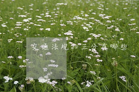 交通法规扣三分有哪些 交通法规扣三分有哪些