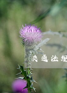 交通法规第56条内容是什么