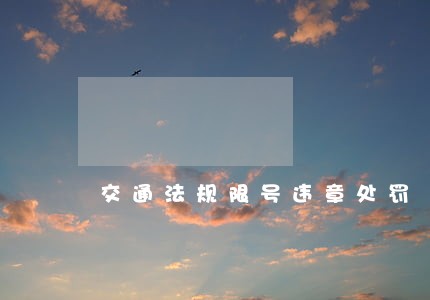 交通法规限号违章处罚 交通法规限号违章处罚