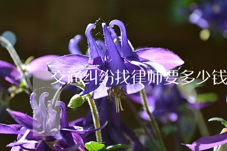 交通纠纷找律师要多少钱 交通纠纷找律师要多少钱