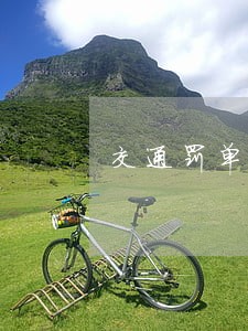 交通罚单100逾期