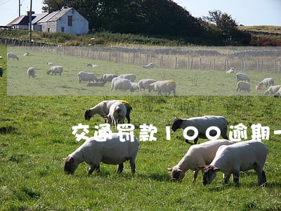 交通罚款100逾期一年 交通罚款100逾期一年