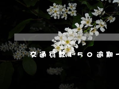 交通罚款150逾期一年 交通罚款150逾期一年