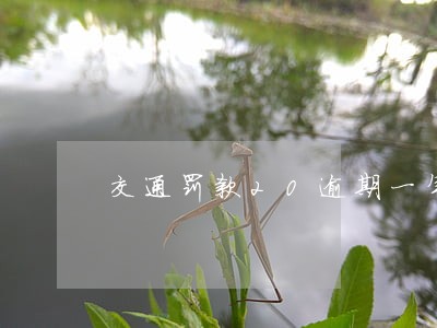 交通罚款20逾期一年是多少 交通罚款20逾期一年是多少