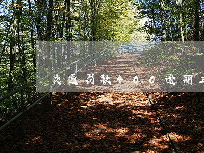 交通罚款400逾期三个月 交通罚款400逾期三个月