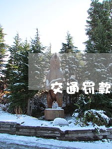 交通罚款逾期3年 交通罚款逾期3年