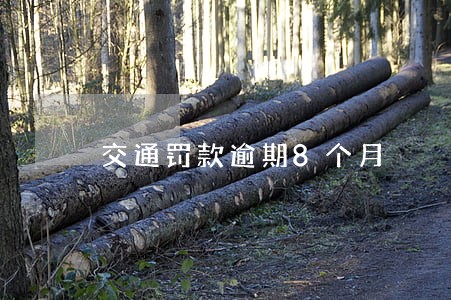 交通罚款逾期8个月 交通罚款逾期8个月