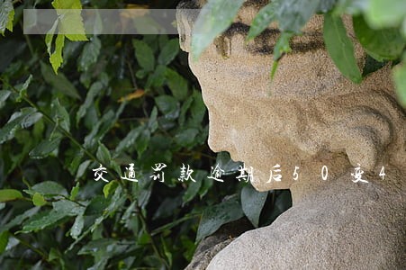 交通罚款逾期后50变400