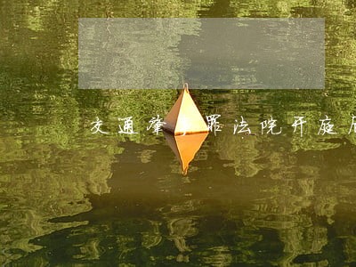 交通肇事罪法院开庭后可以回去么 交通肇事罪法院开庭后可以回去么