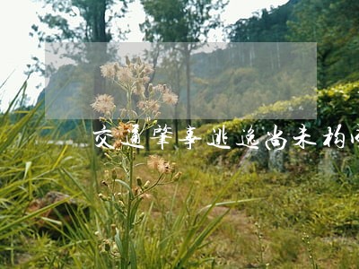 交通肇事逃逸尚未构成犯罪违法行为 交通肇事逃逸尚未构成犯罪违法行为
