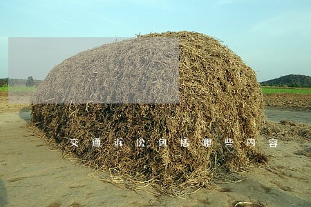 交通诉讼包括哪些内容
