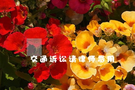 交通诉讼请律师费用 交通诉讼请律师费用