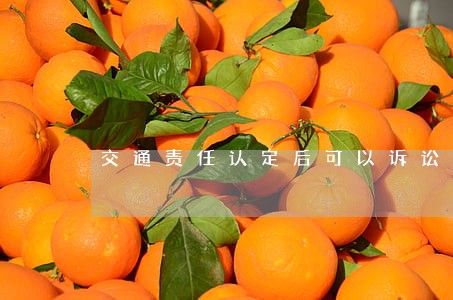 交通责任认定后可以诉讼吗 交通责任认定后可以诉讼吗