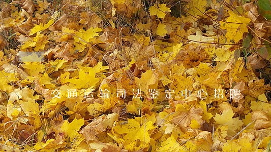 交通运输司法鉴定中心招聘 交通运输司法鉴定中心招聘