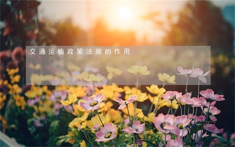 交通运输政策法规的作用 交通运输政策法规的作用