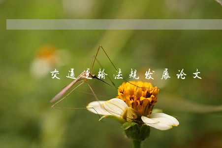 交通运输法规发展论文 交通运输法规发展论文