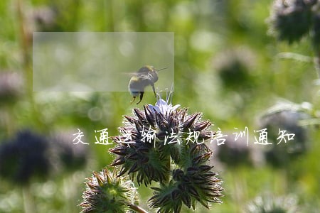 交通运输法规培训通知 交通运输法规培训通知