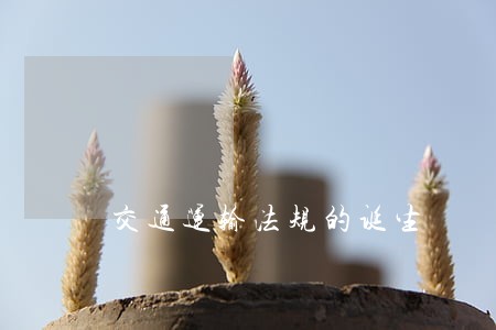 交通运输法规的诞生