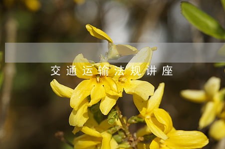 交通运输法规讲座 交通运输法规讲座