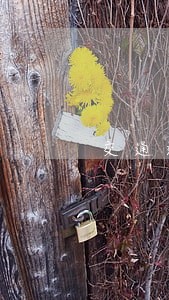 交通运输类法规 交通运输类法规